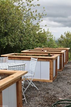 there are many plants growing in the planters