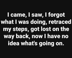 the quote i came, i saw, forgot what i was doing, returned my steps, got lost on the way back, now have no idea what's going on