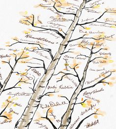 a drawing of a tree with many names on it