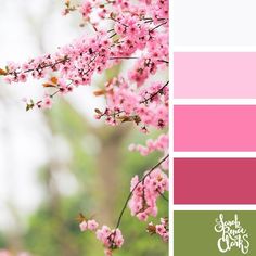 the color scheme is pink and green, with white flowers on it's branches