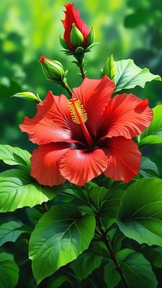 a red flower with green leaves in the background