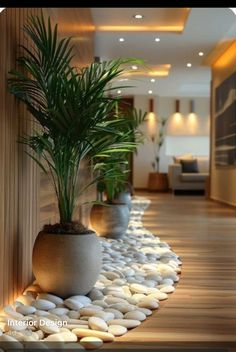 two potted plants sitting next to each other on top of a wooden floor in front of a wall