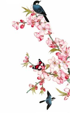 two birds are sitting on a branch with pink flowers and butterflies in the foreground