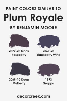 Colors Similar to Plum Royale 2070-20     by Benjamin Moore Benjamin Moore Black, Blackberry Wine, Black Raspberry, Blackberry, Raspberry