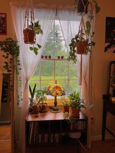 a window with potted plants in front of it and a table near the window