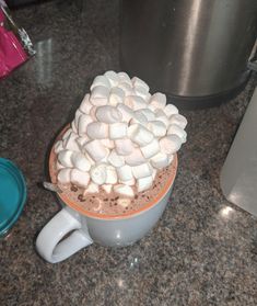 hot chocolate with marshmallows in a mug