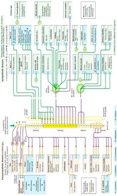 the wiring diagram for an electronic device, with several different types of wires and connections