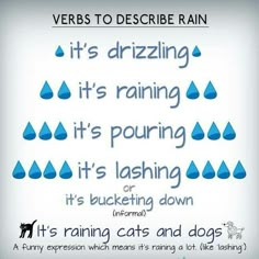 an ad with the words it's raining and dogs written in blue on white