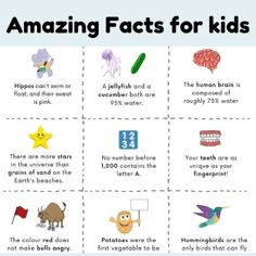 Cute Facts About Animals, Fun Facts For Students, Fun Fact For Kids, Interesting Activities For Kids, Trivia For Kids With Answers, Fun Facts About Me Ideas, Quiz Questions For Kids, Science Questions For Kids, Amazing Facts For Kids