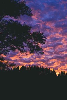 the sky is purple and orange as the sun sets in the distance behind some trees