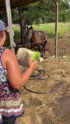 a woman holding a piece of food in her hand next to a horse on the other side