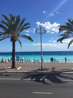 palm trees line the beach as people walk on the sidewalk near the ocean and boardwalk