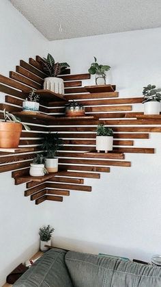 a living room filled with lots of potted plants on top of wooden shelving