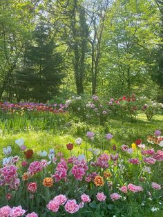 many different colored flowers in the grass near trees