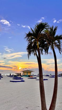 palm trees on the beach at sunset with boats in the water and people walking around