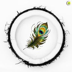 a white plate with a colorful peacock feather on it's side and black trim around the edge