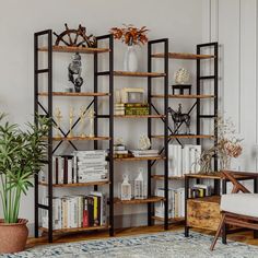 a living room filled with furniture and a book shelf next to a plant on top of a rug