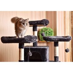 a cat standing on top of a scratching post