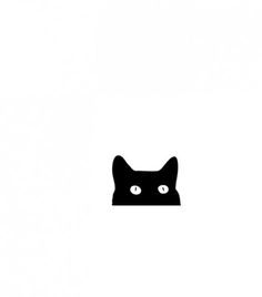 a black cat's head is shown against a white background