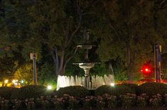 a fountain in the middle of a park at night