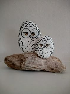 two white owls sitting on top of a rock