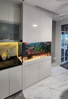 a fish tank sitting on top of a counter in a kitchen