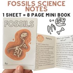 the fossil science notes sheet 8 page mini book