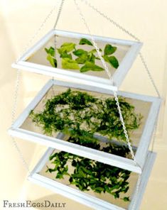 three tiered hanging planter filled with green leaves and plants in it's trays