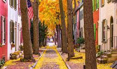 a narrow street lined with colorful houses and trees in fall colors, along with an american flag on the sidewalk