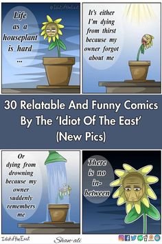 comic strip about how to get rid from the sunflower and what it's doing