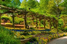 a garden filled with lots of trees and flowers