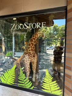 a giraffe standing in front of a store window that says zoostore