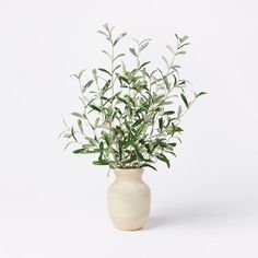 a white vase with green plants in it