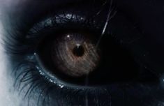 an extreme close up view of the iris of a person's eye