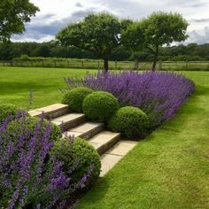 a garden with purple flowers and steps leading up to the grass covered area in front of it