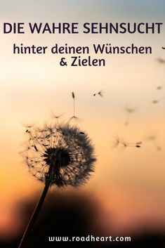 a dandelion with the words die wahre sehnscht hintter deinen winschen & zieln