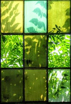 green leaves are seen through the window panes