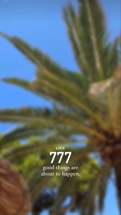 a palm tree with the words, luck 777 good things are about to happen