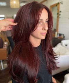 Merlot Red Hair, Mohagany Brown Hair, Mahagony Hair Color, Dark Mahogany Hair, Mahogany Red Hair, Mahogany Brown Hair Color, Mahogany Hair Color, Mahogany Brown Hair