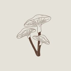 three mushrooms on a gray background