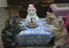 four cats sitting around a table with a cake on it and one cat wearing a birthday hat