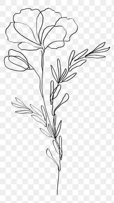 a black and white line drawing of a flower on a transparent background, hd png