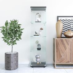 a glass display case next to a potted plant in a room with white walls