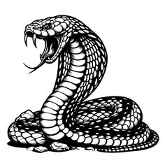 a black and white drawing of a snake