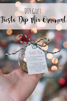 a hand holding a glass jar filled with dried herbs and the words diy gift fiesta dip mix enveled on it