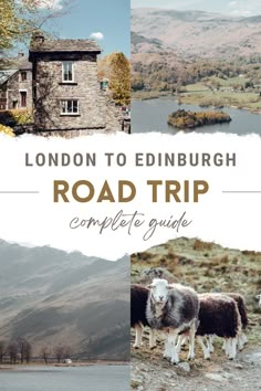 the london to edinburgh road trip complete guide with pictures of sheep and mountains in the background