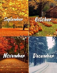 four different pictures with the words november, october and december