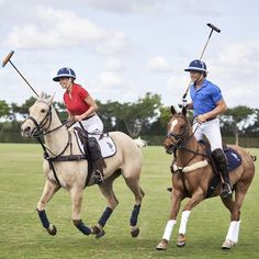 two people on horses playing polo in the grass