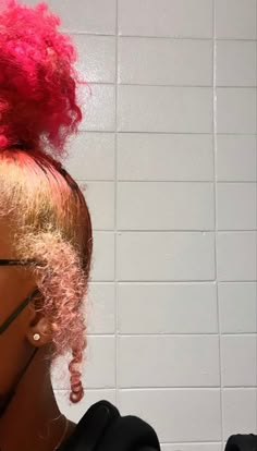 Pink Hair Black Women Natural, Pink And Black Natural Hair Black Women, Red And Pink Natural Hair Black Women, Pink Natural Hair, Hot Pink Natural Hair Black Women, Pink Afro Hair Black Women, Skunk Strip, Hair Stripes, Skunk Stripe