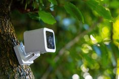 a security camera mounted on the side of a tree in front of green leafy trees